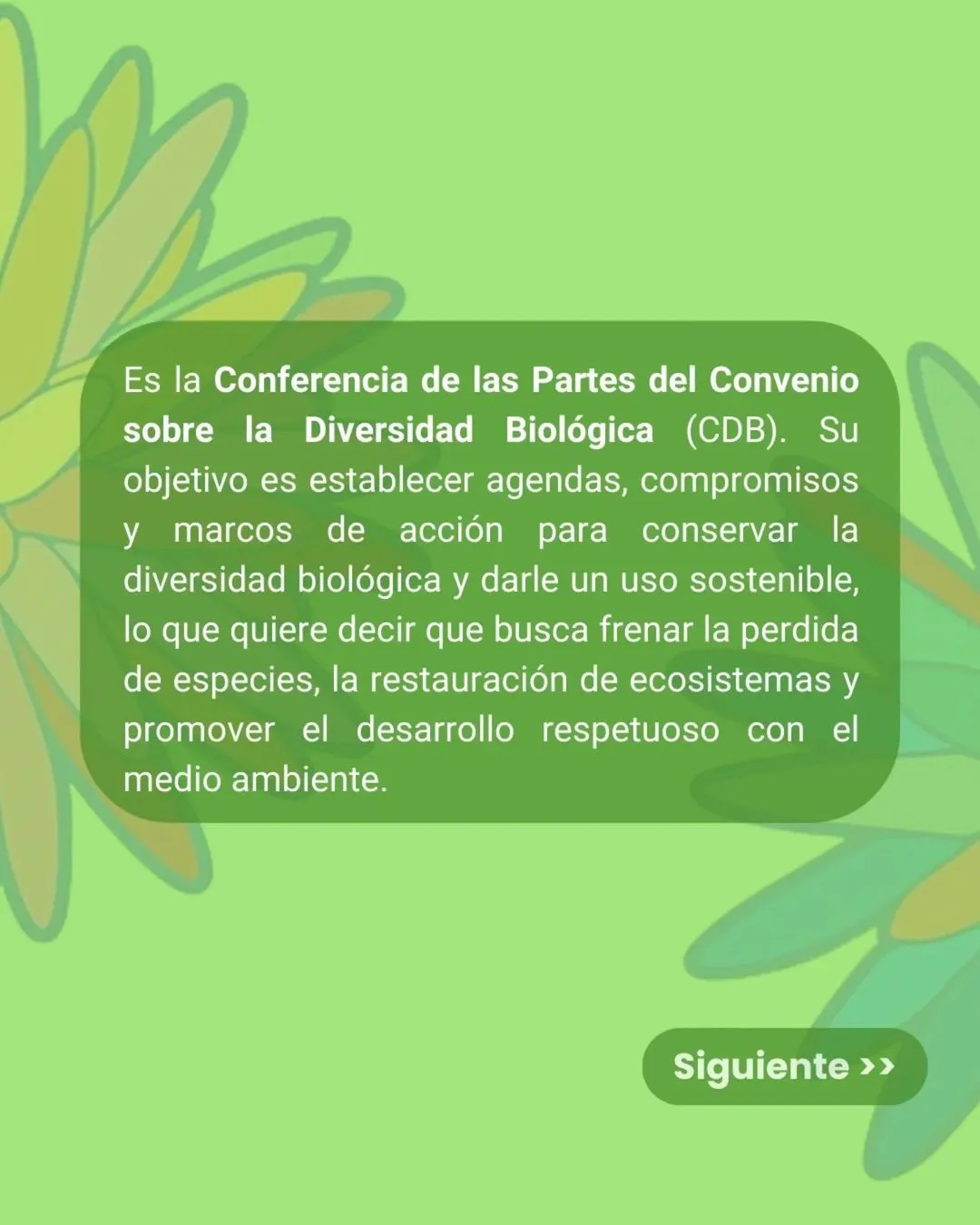 Carrusel imagen