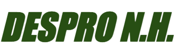 Despro NH Logo
